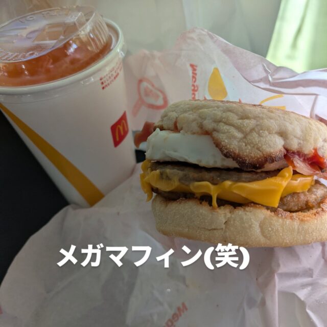 昨日も飲んで、歌って、楽しく、激しく、本当に盛り上がりました〜(笑)本当にありがとう御座います🙇
本日は都合によりOPENがちと遅れますが、どうぞよろしくお願い致します🙇🙇🙇🙇